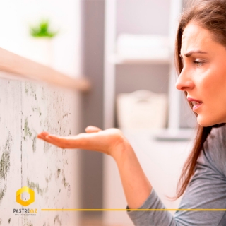 Placas Contenção de Calor/Frio e Bloqueia Umidade 